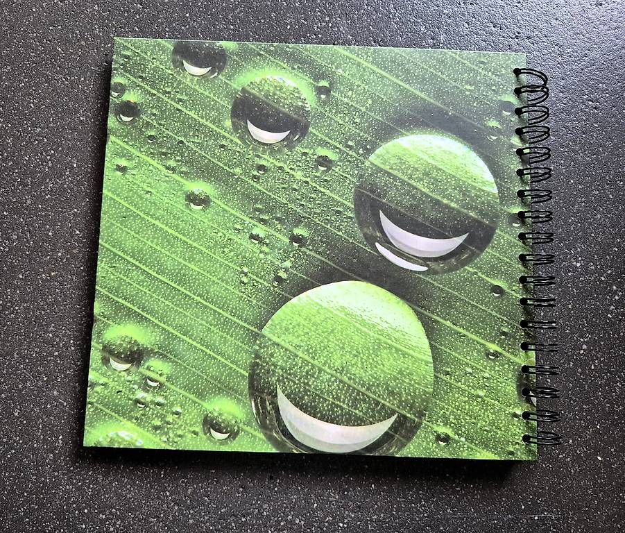 Bücher: Fotobuch Quadrat – Gebraucht aus St. Gallen von Amelie_73 1