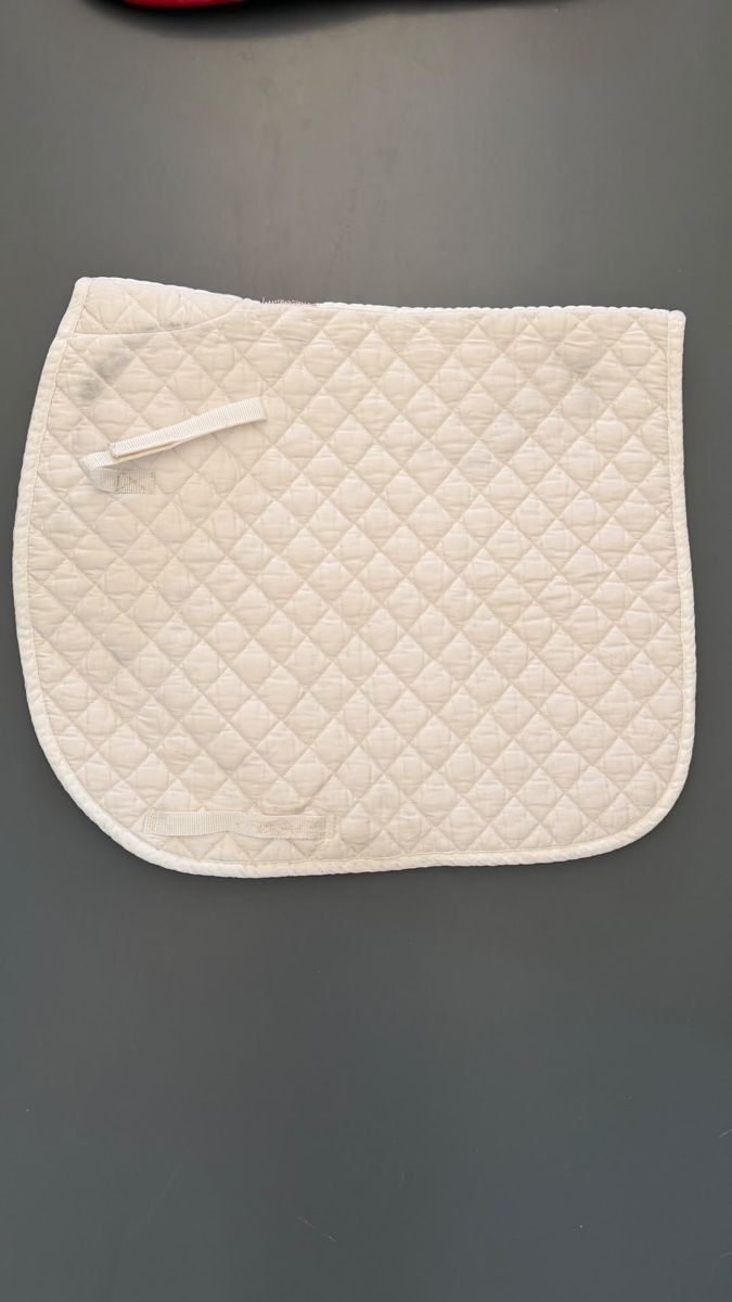 Coperte: Schabracke weiss – Usato da Alchenflüh venduto da LarFyn