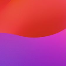 Profile image of PHIPSY