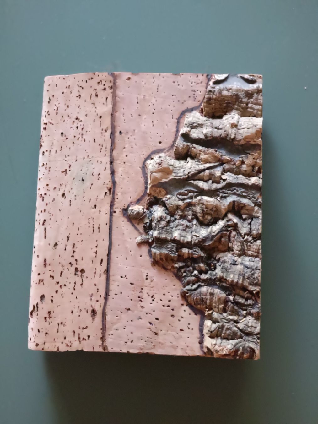Libri: Kork Notizbuch – Nuovo e nell'imballaggio originale da Lugano venduto da riccardo012