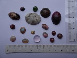 17 Cabochons  Schweiz+Ausland
