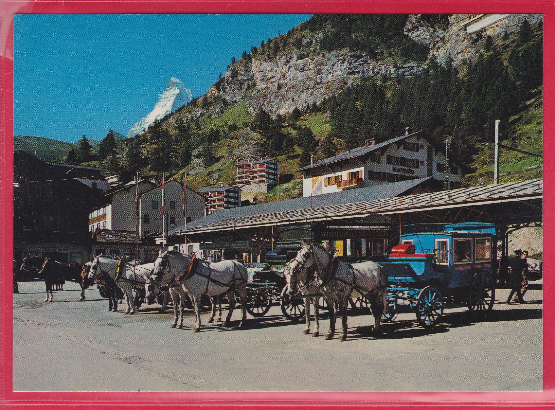 Cartoline postali: ZERMATT MIT MATTERHORN UND PFERDEKUTSCHEN – Usato da Oberrieden venduto da Gebirgsstelze