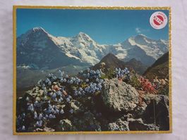 Puzzle Elite Souvenir de Suisse Berge