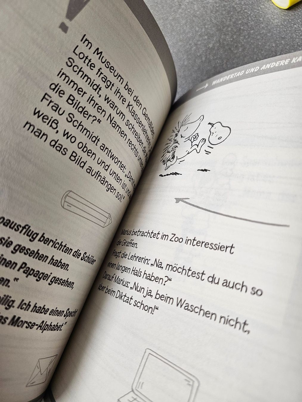 Libri: Die allerbeste Kinderwitze Buch – Usato da Adligenswil venduto da xtfnut 2