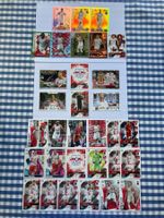 Match Attax Fussballkarten Sammlung RB Leipzig 33 Stk.