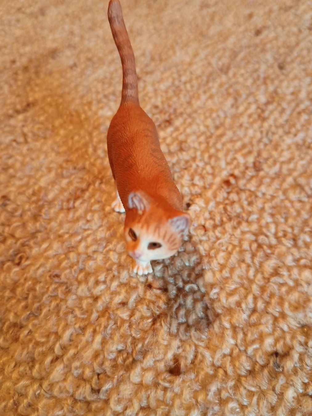 Schleich Statuette: Schleich 13836 Katze, stehend, 2016 – Nuovo (secondo la descrizione) da Buchs AG venduto da ReaNaTsch 2