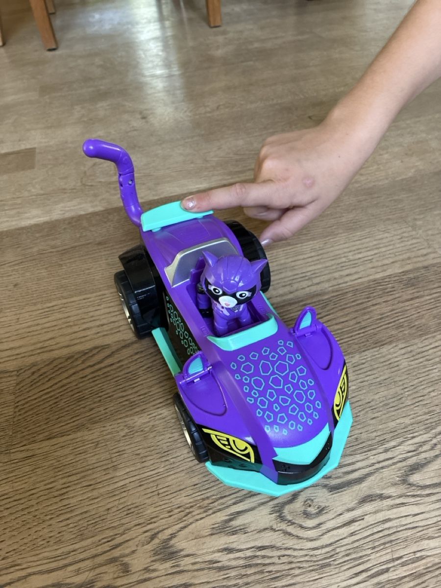 Giocattoli: Paw Patrol Auto und Figur  – Usato da Liebefeld venduto da dschegi 2