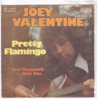 Joey Valentine  --  Pretty Flamingo  Single7