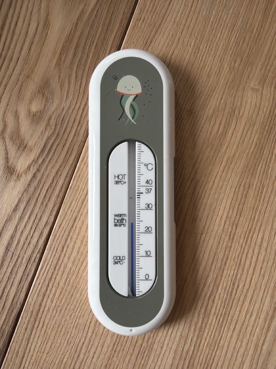 Altro per la casa: Baby Set: Badethermometer, Fruchtsauger & Schwimmwindeln – Usato da Disentis/Mustér venduto da oigina 2