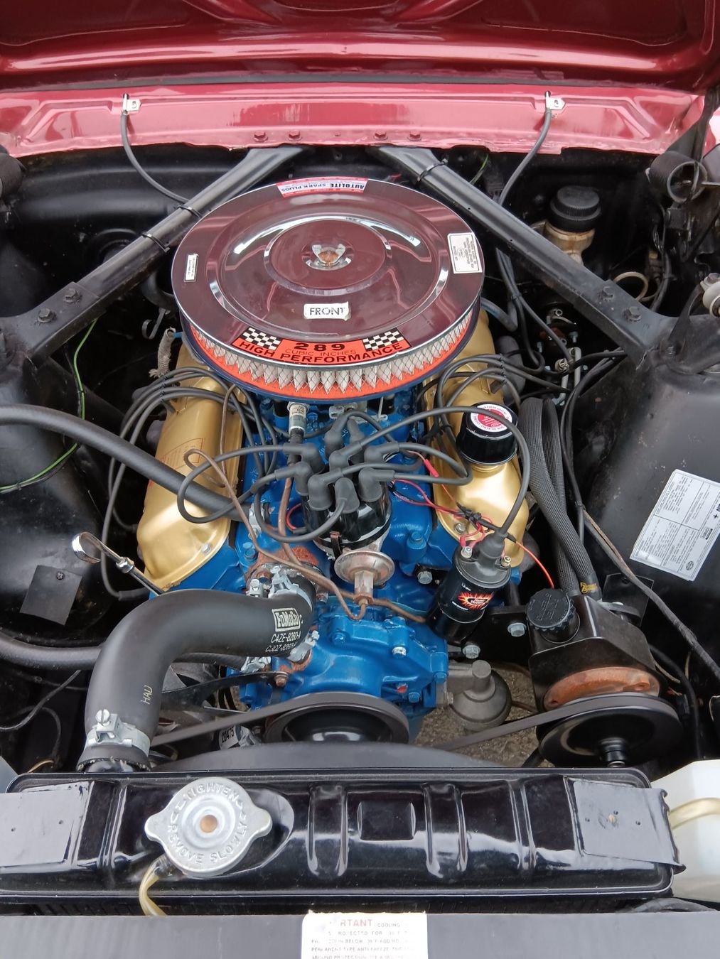 Ford (Usa) Autos: Ford Mustang 289 V8 1966 – Gebraucht aus kölliken von TerryCash 7