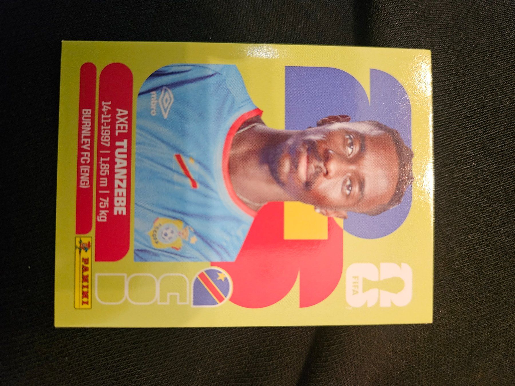 Panini Carte collezionabili: COD4 – Usato da Würenlingen venduto da Dinli