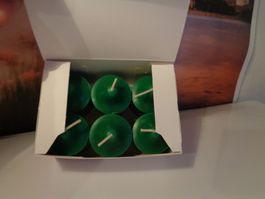Partylite 6 Votivkerzen Evergreen Fir