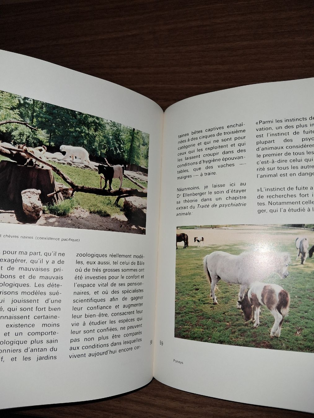Bücher: Livre Zoos de suisse – Gebraucht aus Le locle von juliensaran 1