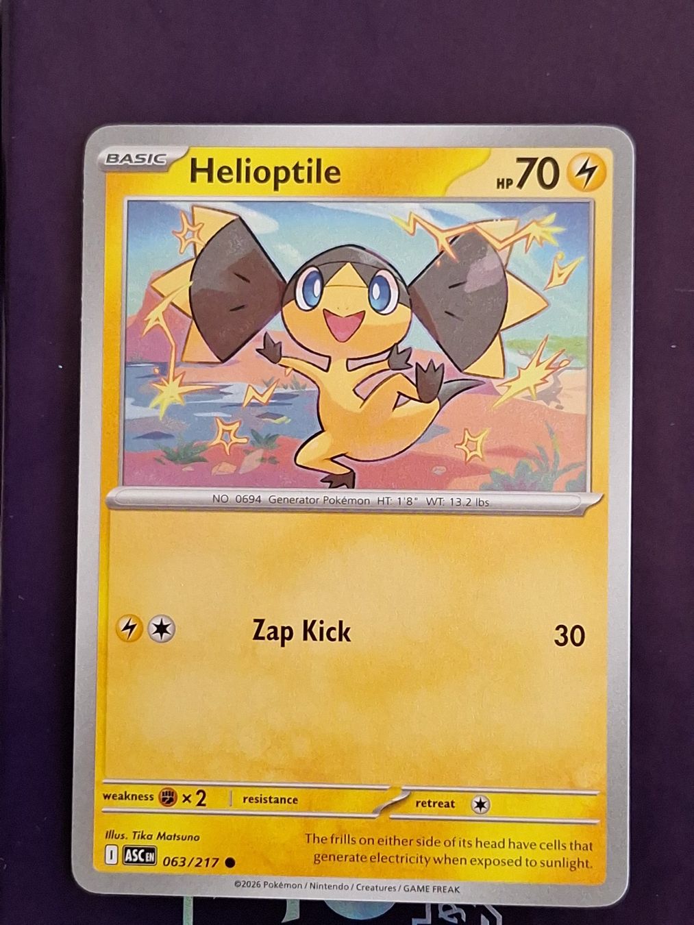 Pokémon Carte collezionabili: Helioptile - Pokemon Ascended Heroes – Usato da Altstätten SG venduto da GGsGameshop
