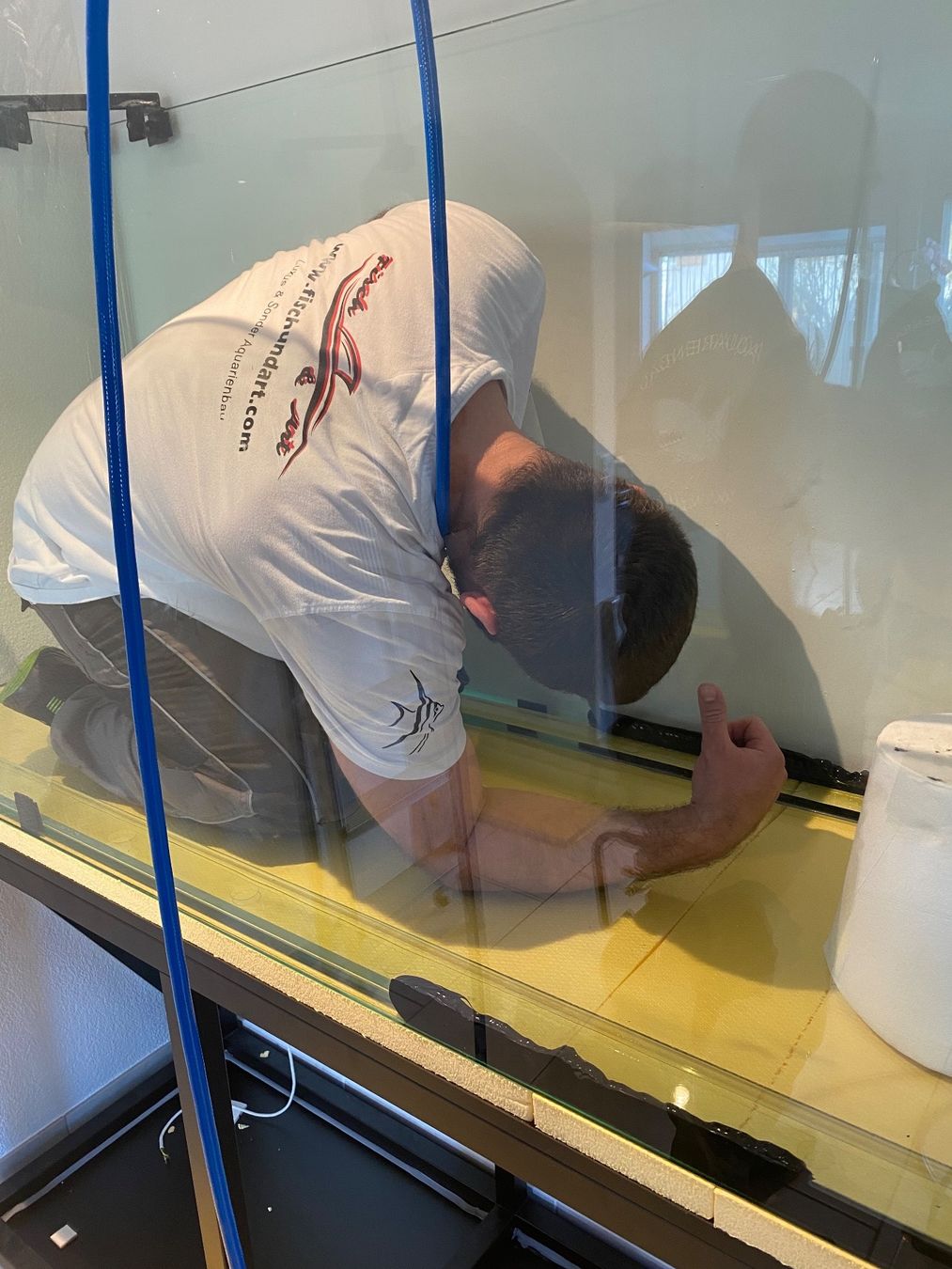 Acquari: Gross Aquarium 400x60x80 – Nuovo (secondo la descrizione) da Berikon venduto da fischundart 7