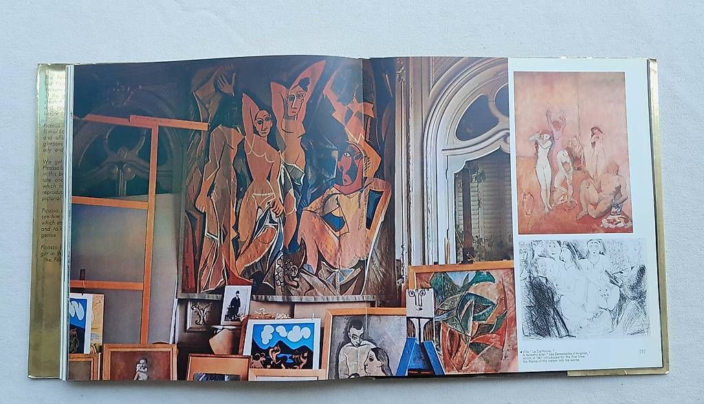 Libri: Picasso 'Felicie' – Usato da Samstagern venduto da Karibik64 5