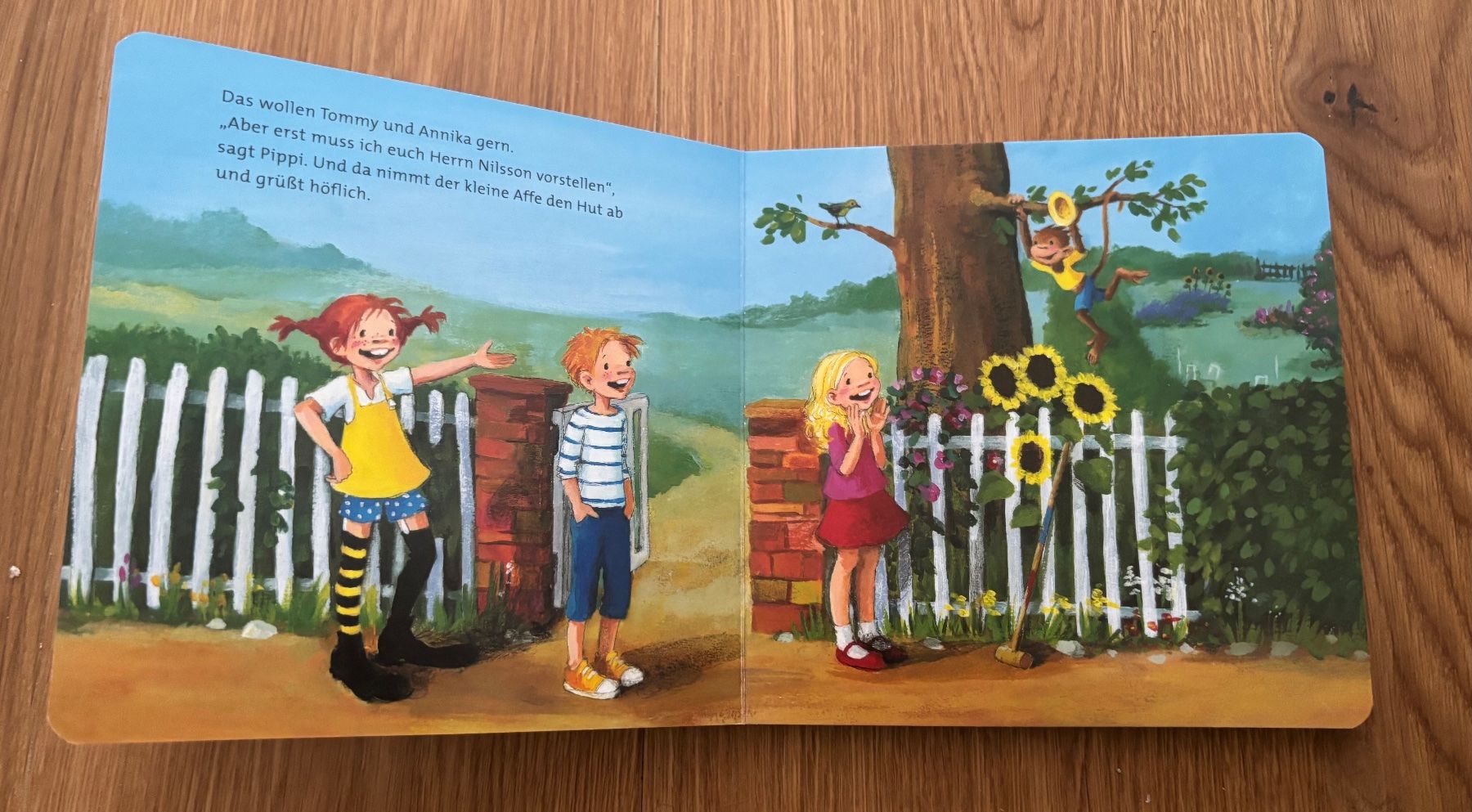 Libri: Pippi Langstrumpf – Usato da Jegenstorf venduto da Annina0506 4