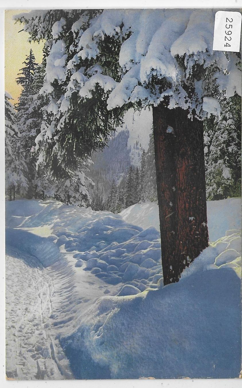 Cartes postales: Partie bei Davos - Winterwald – Antique à Ettingen par Kartenplanet