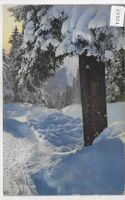 Partie bei Davos - Winterwald