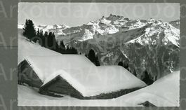 AK sw Braunwaldal p GL gegen Kärpfgruppe ©Homberger ≈ 1957