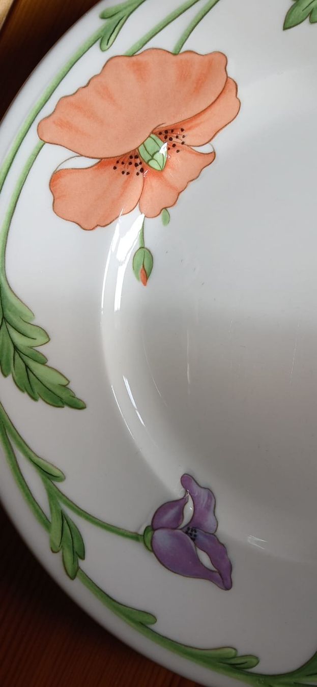 Villeroy & Boch Set di piatti: Vaisselle Villeroy et Boch Amapolla – Usato da Randogne venduto da cyp_dds9 5