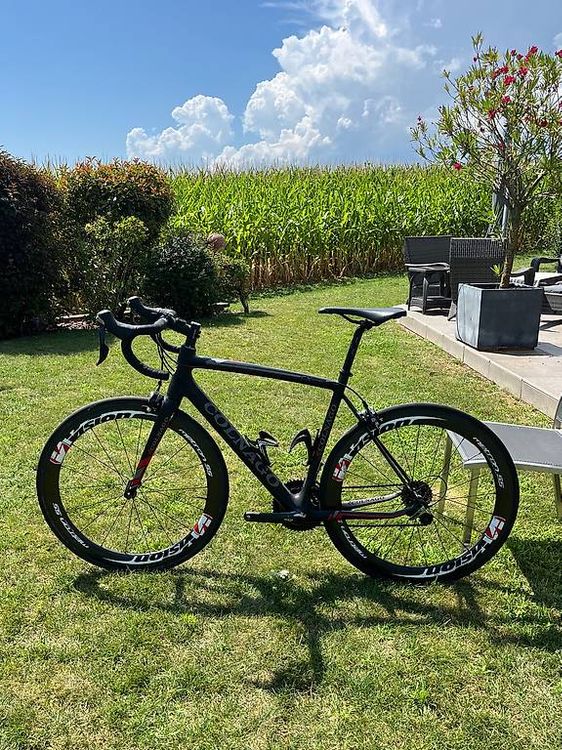 Roue Libre Vélo Course Regina CX/CX-S 6 Vitesses - Pour Vélo Colnago - Vintage