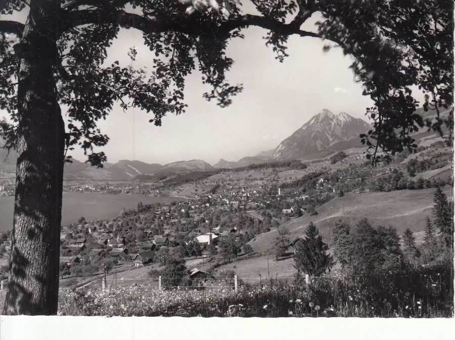 Cartoline postali: Sachseln 1967 – Usato da Bürglen TG venduto da StampGraf