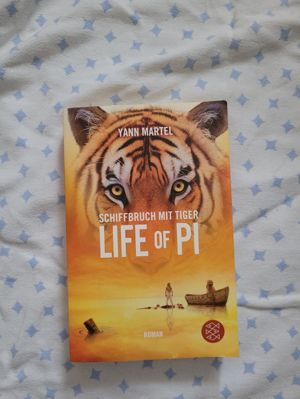 Libri: Yann Martel "Schiffbruch mit Tiger" – Usato da Perlen venduto da Safari_23