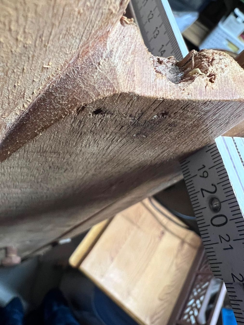 Scaffali: Holz Regal für Deko – Usato da Balsthal venduto da Uroby 4