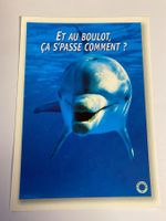 Carte postale - dauphin "Et au boulot ?" humour 🐬