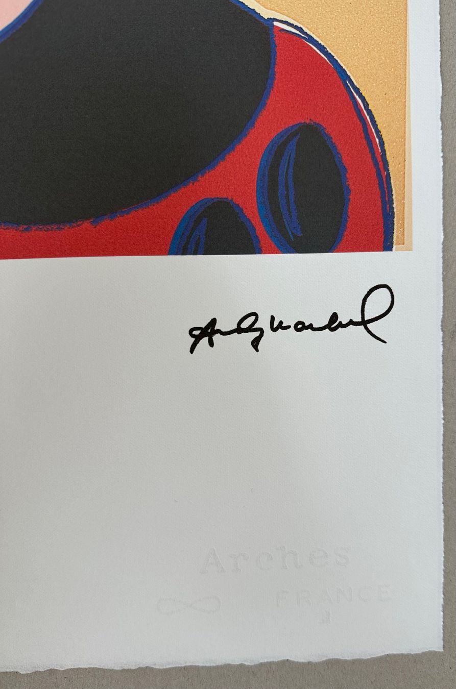 Foto & Immagini: Andy Warhol: Mickey Mouse, POP Art 100/100!!! – Nuovo (secondo la descrizione) da Meilen venduto da Smgdesign 2