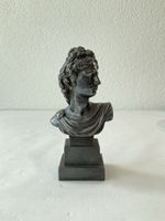 Buste vintage, Apollon du Belvédère 
