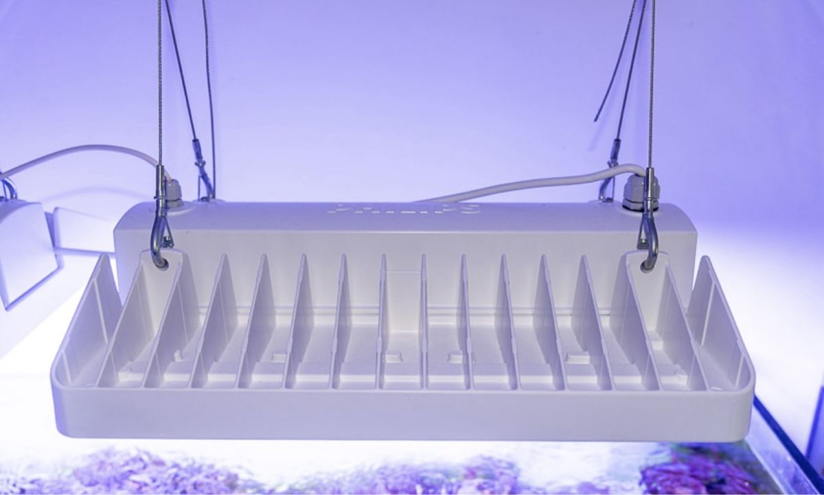 Philips Lampen: Philipps – Gebraucht aus Muttenz von SunnyPower01 1