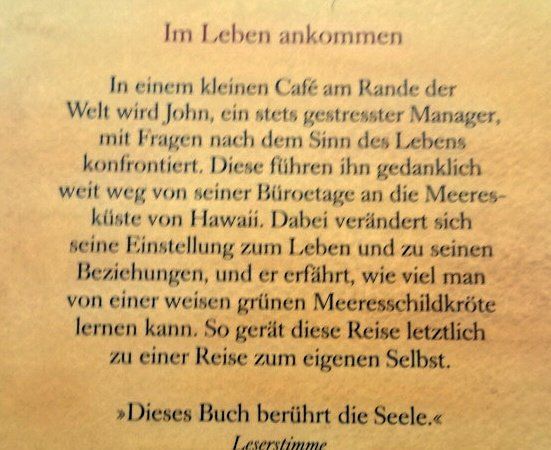 Libri: dtv John Strelecky Das Café am Rand – Usato da Wetzikon ZH venduto da strubeli024 1