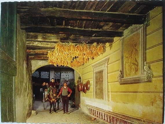 Ansichtskarten: RIVA SAN VITALE – Neu (gemäss Beschreibung) aus Jona von philajona