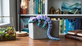 Beweglicher Gecko, violett/tuerkis