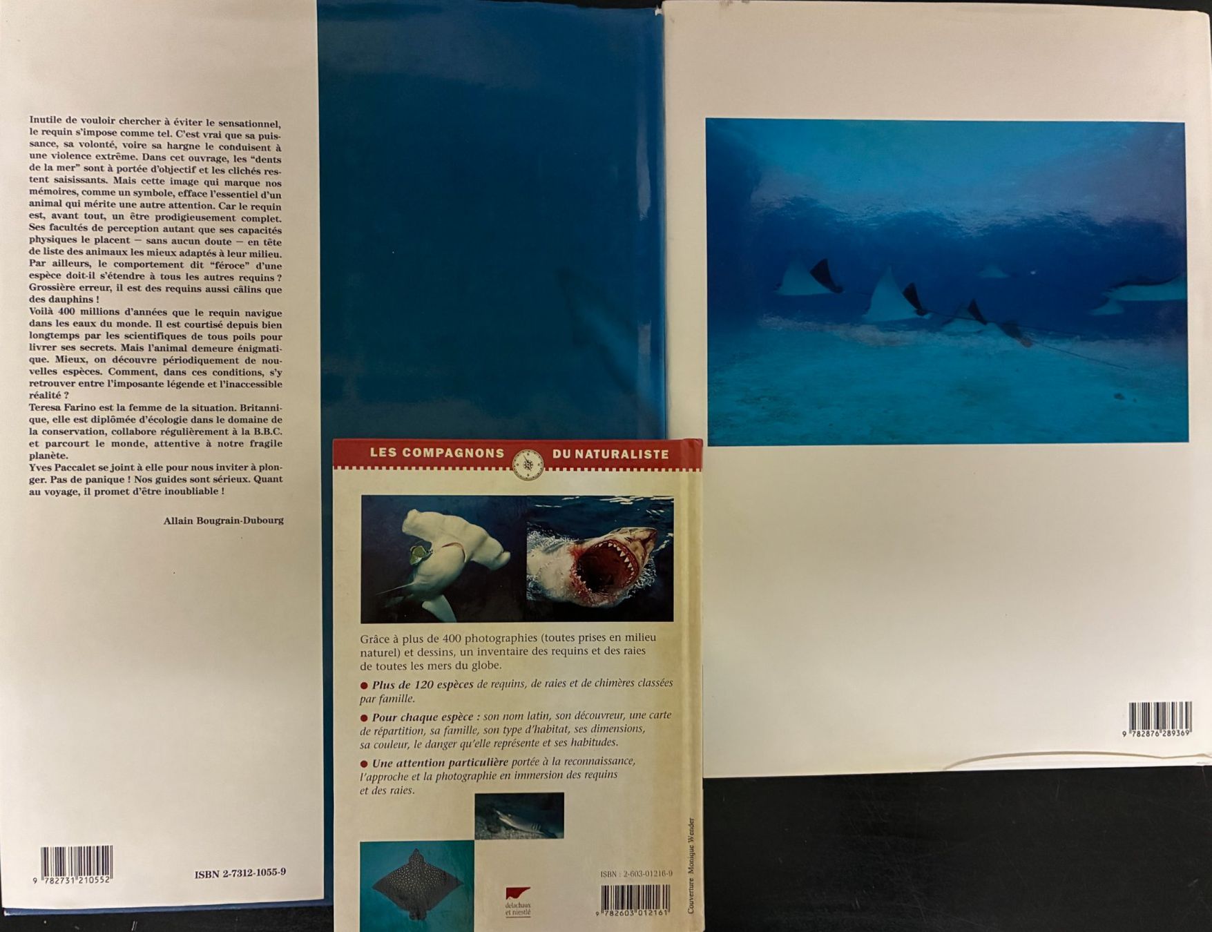 Libri: Requins du monde – Usato da Moutier venduto da lebadin 1