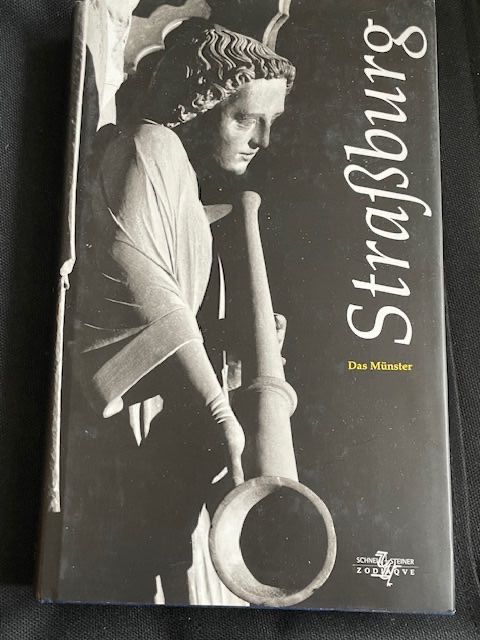 Libri: Strasbourg - Das Münster – Nuovo (secondo la descrizione) da Zürich venduto da bri_pt8h