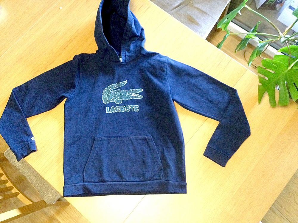 Pull lacoste 14 ans new arrivals