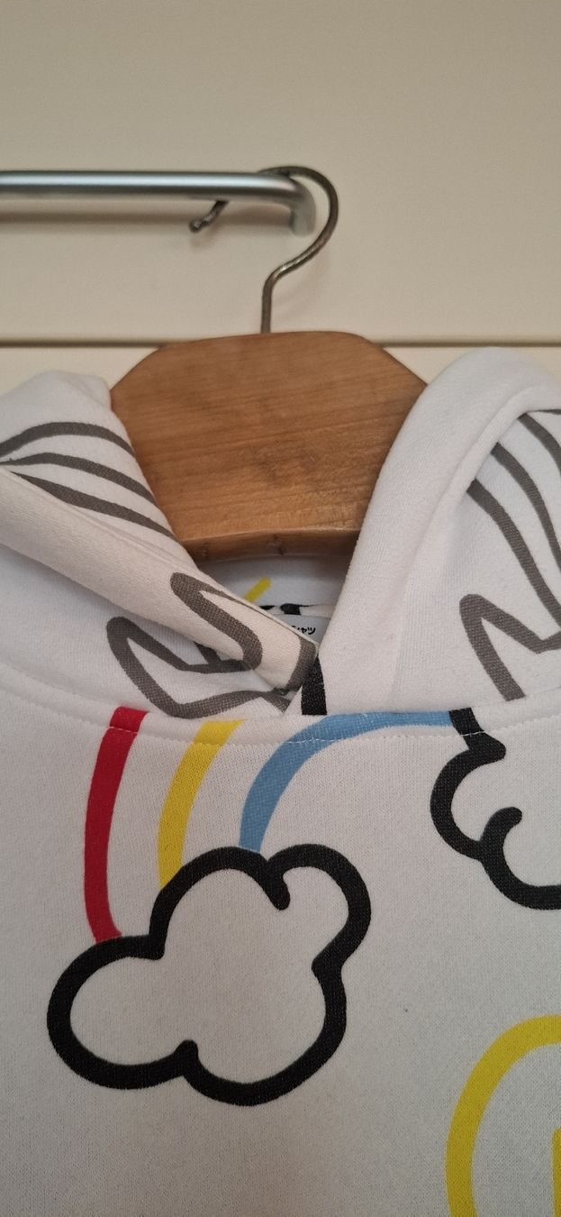Maglioni & Felpe: VeryCool Hoodie – Usato da Dachsen venduto da fio_8gpt 3