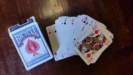 Spielkarten Jasskarten Pokerset inkl. Halterung