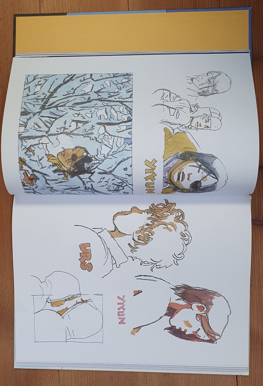 Fumetti: Yikun BD, montagne suisse – Nuovo (secondo la descrizione) da Lausanne venduto da seb_p758 1