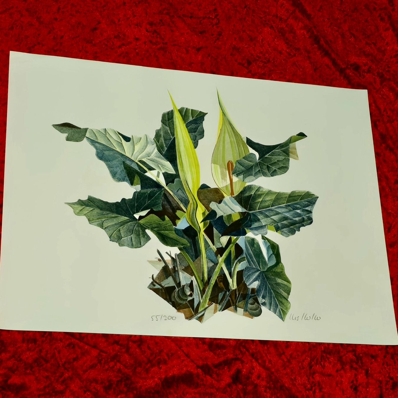 Grafica & Litografie: Original-Lithografie. Handsigniert&nummeriert – Usato da Reinach BL venduto da Pendling 1