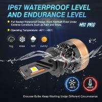 ampoules brouillards h7 led