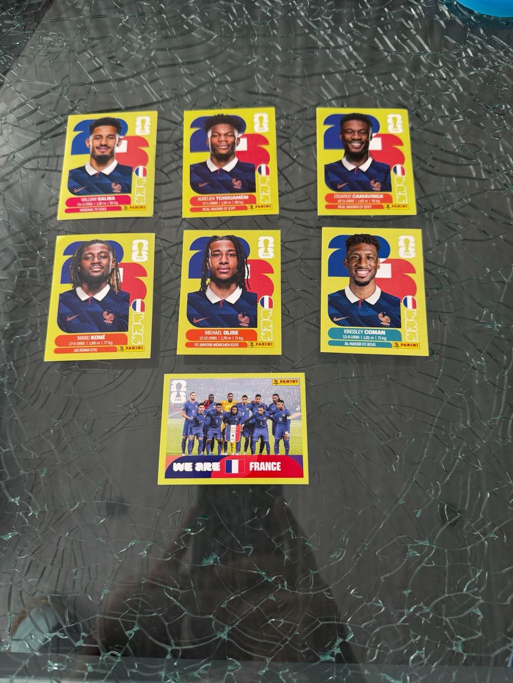 Panini Carte collezionabili: WM 2026 - Panini - France – Usato da Pfäffikon ZH venduto da Marcodesi76