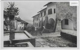 Erlach - Altstadt mit Ochsengespann
