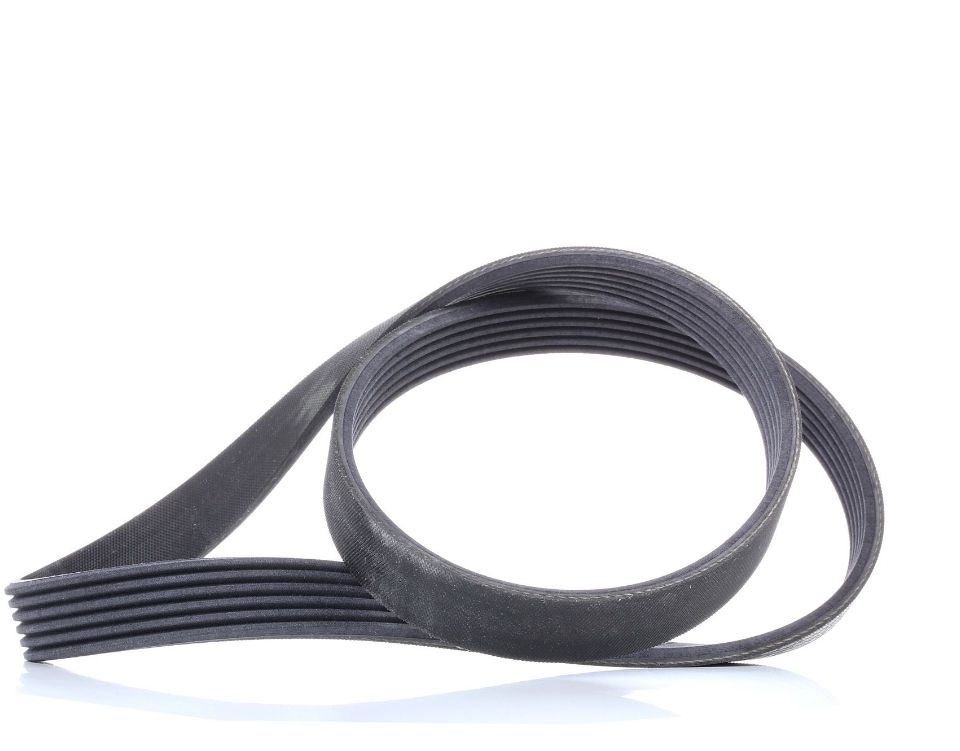 Ford Tutti pezzi di ricambio auto: Keilriemen CONTITECH 6PK1019 ELAST neu – Nuovo (secondo la descrizione) da Reinach BL venduto da bru_qpv2