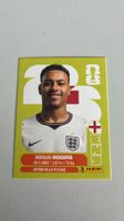 Carte panini 2026 - ENG 14