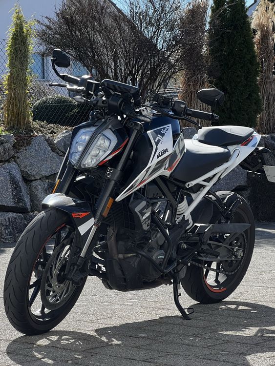 KTM Strada: Ktm Duke 390 mit Quickshifter – Usato da Niederwil SG venduto da Lele_5_5 1