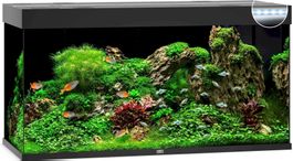 JUWEL Rio 350 LED Aquarium ohne Schrank